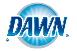 Dawn Dishwashing Liquid Products
